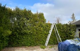  Marvin Élagage 69 Élagueur à Rillieux-la-Pape Jardinier et Paysagiste